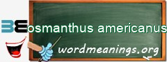 WordMeaning blackboard for osmanthus americanus